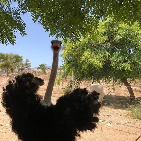 Finca Avestruz Villa San Isidro  Eksteriør bilde